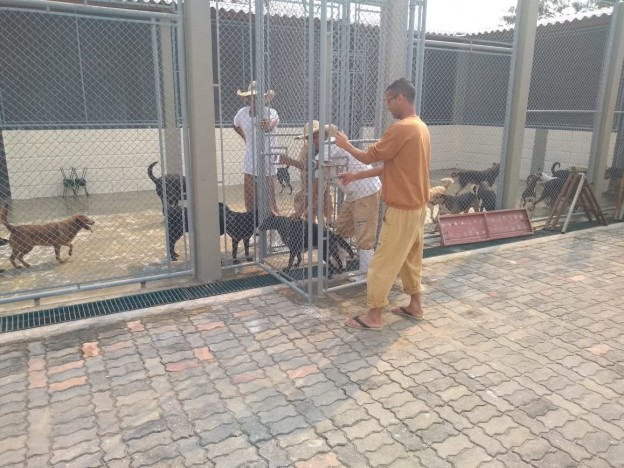 Ideia pioneira em Taubat� p�e presos em ressocializa��o cuidando de animais abandonados